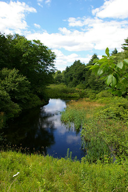 West river upstream of E. Hartford Ave.
