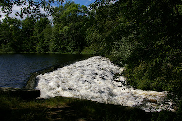Whitin Pond Dam