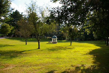 Adin Park
