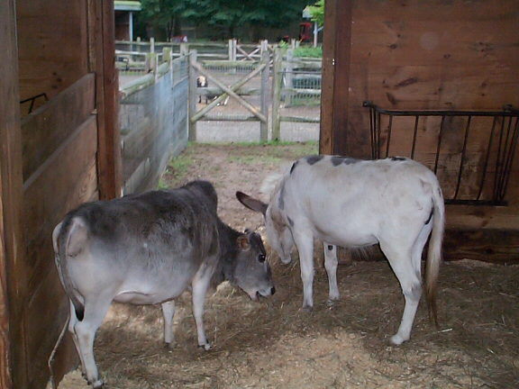 DCP02323.jpg
