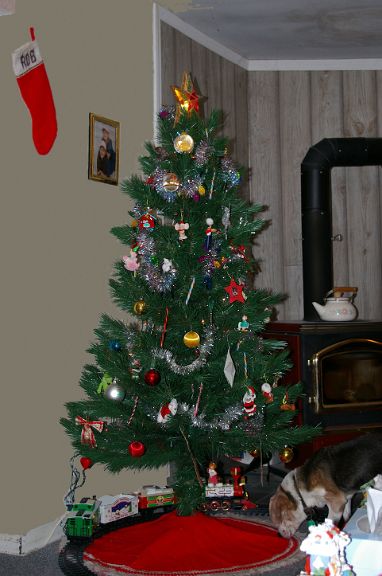IMGP0671.jpg - Christmas Tree