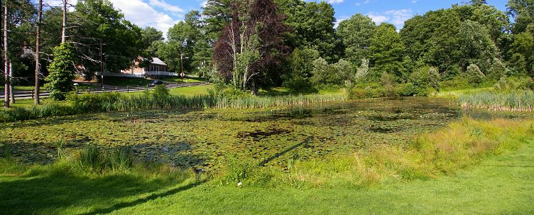 IMGP5437Stitch.jpg - Peaceful Pond