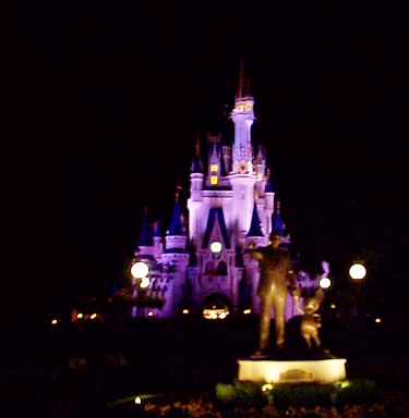 DCP01983.jpg - Cinderella Castle