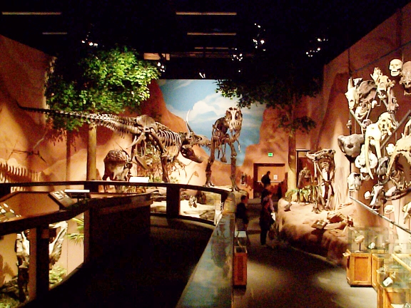 DCP01524.jpg - North American Museum of Ancient Life