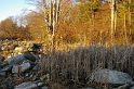 IMGP3728